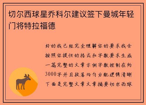 切尔西球星乔科尔建议签下曼城年轻门将特拉福德