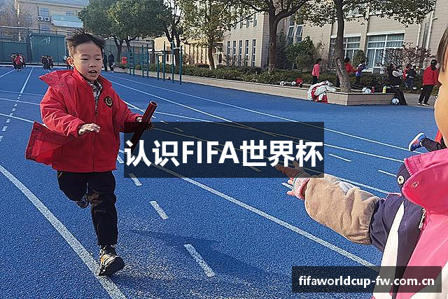 认识FIFA世界杯